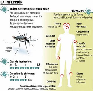 virus zika enfermedad